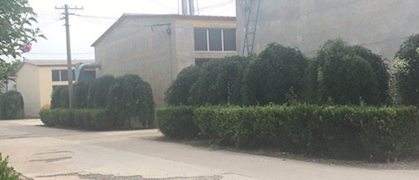 專業(yè)的技術(shù)團(tuán)隊(duì)，為客戶私人定制