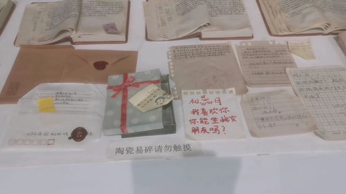 瓷語童年 重慶現(xiàn)代藝術(shù)館的作業(yè)本驚喜與都市心靈對(duì)話